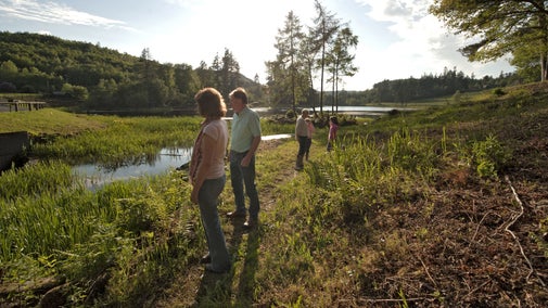 Visitors are walking through the grass around Tumbleton Lake at Cragside. It's a sunny day in the summer. The grass is green and the sun is low in the sky.